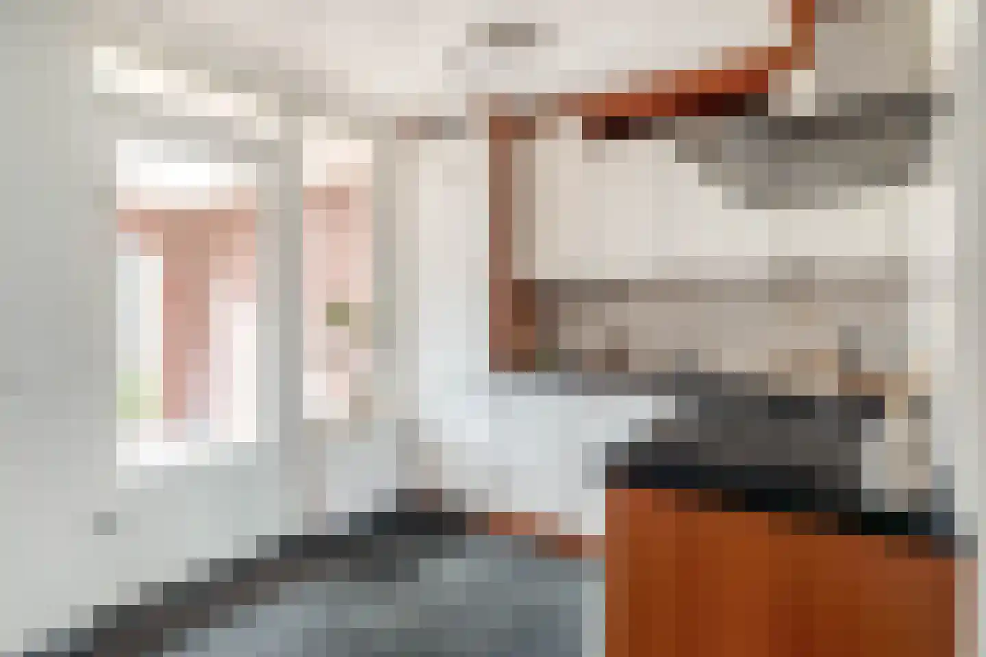 De Bariks 3 Heeswijk-Dinther thumbnail 12