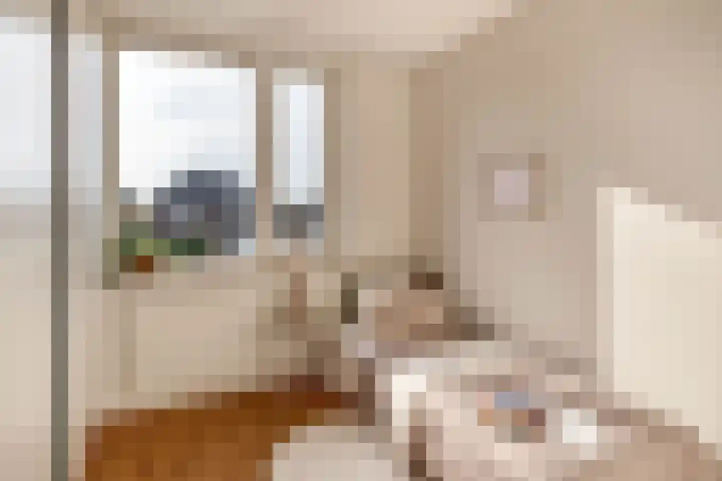 De Bariks 3 Heeswijk-Dinther thumbnail 19