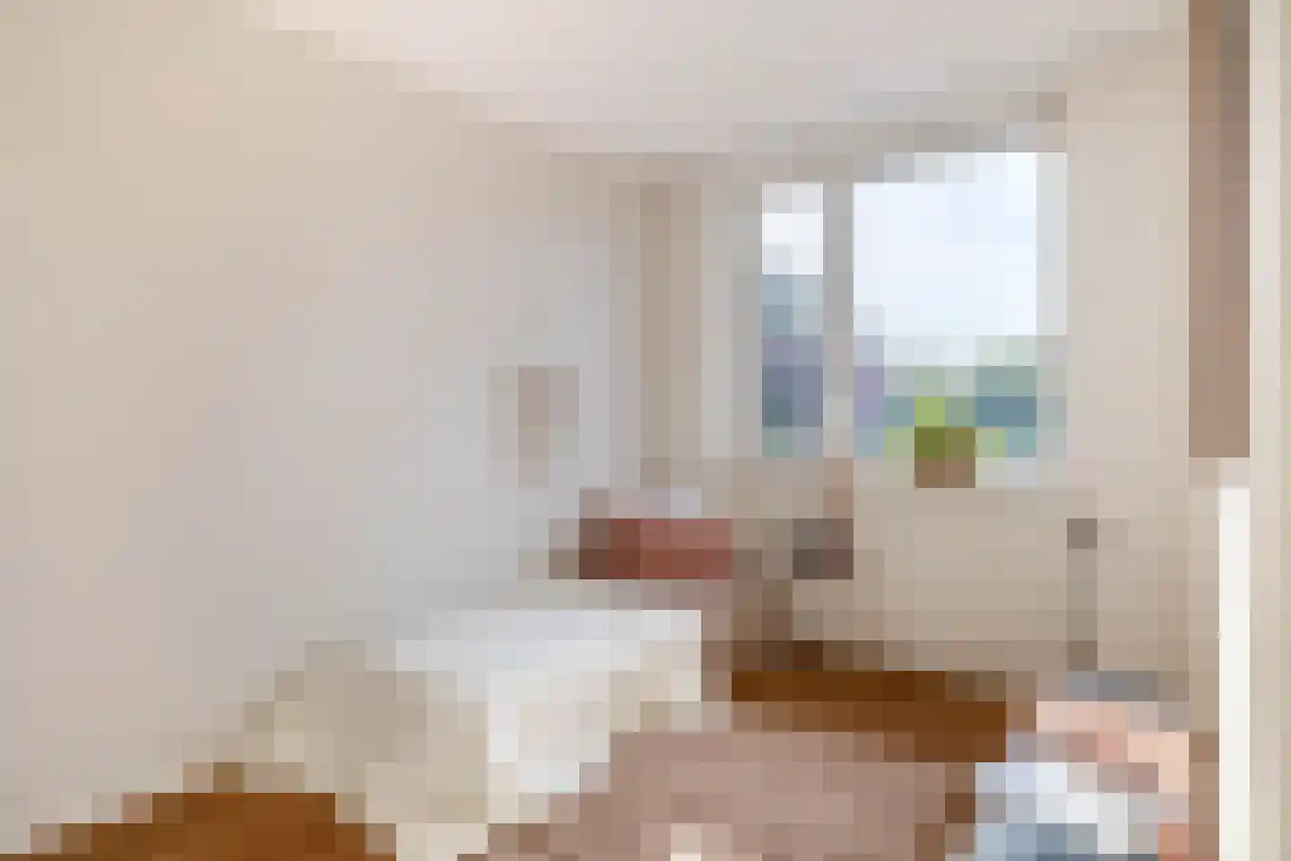 De Bariks 3 Heeswijk-Dinther thumbnail 20