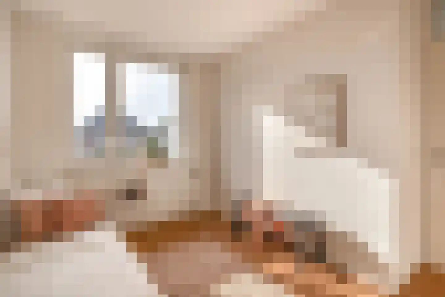 De Bariks 3 Heeswijk-Dinther thumbnail 21
