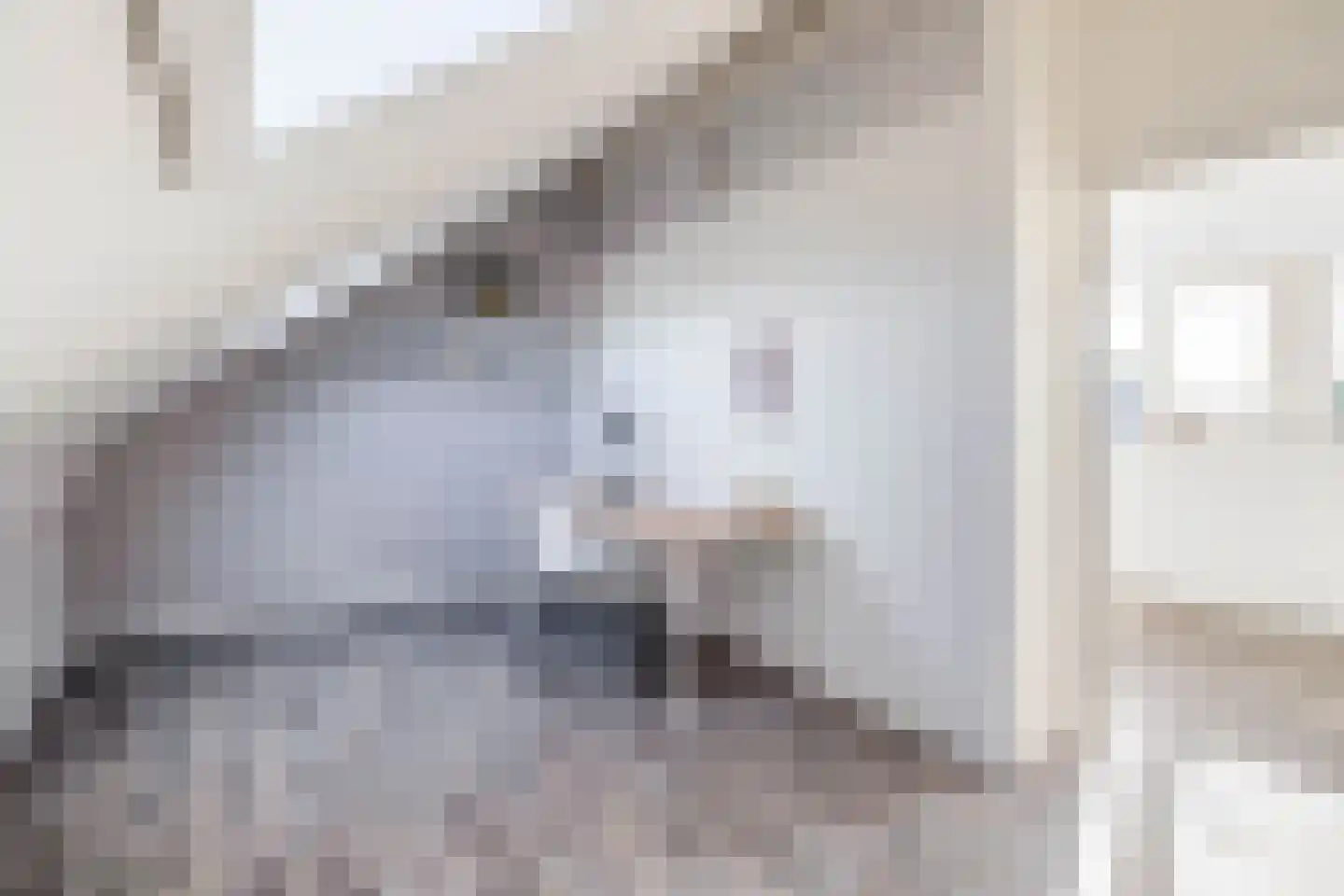 De Bariks 3 Heeswijk-Dinther thumbnail 24