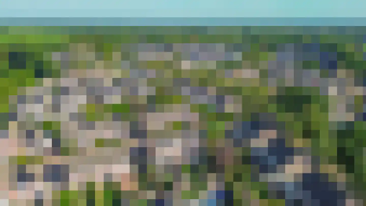 De Bariks 3 Heeswijk-Dinther thumbnail 39