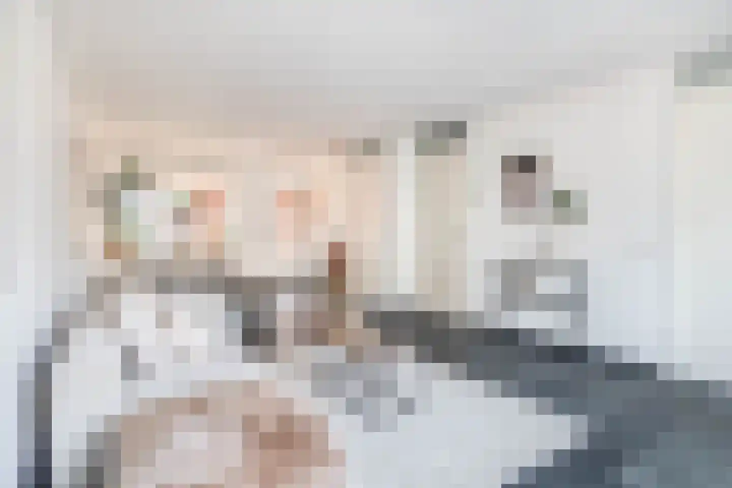 De Bariks 3 Heeswijk-Dinther thumbnail 4