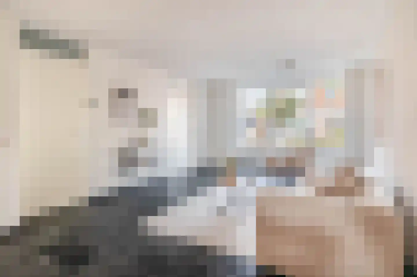 De Bariks 3 Heeswijk-Dinther thumbnail 6