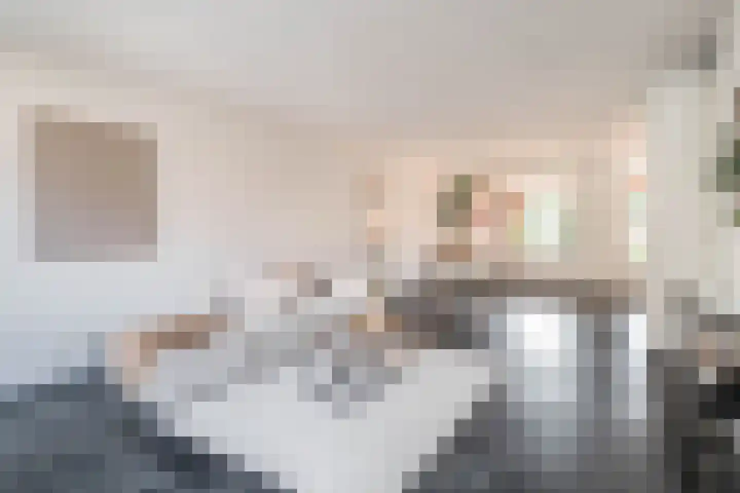 De Bariks 3 Heeswijk-Dinther thumbnail 7