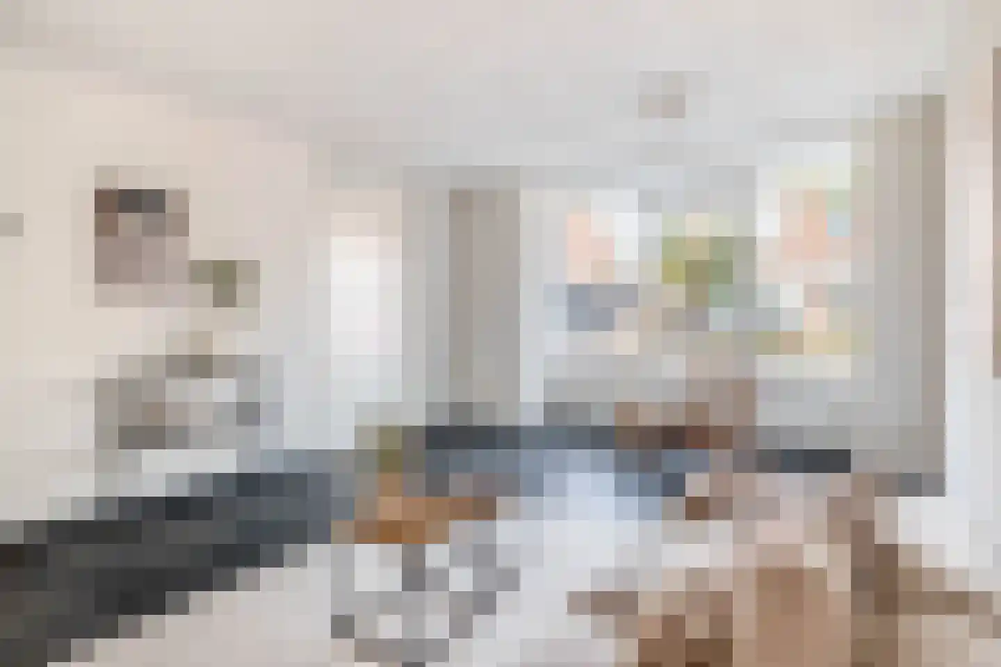 De Bariks 3 Heeswijk-Dinther thumbnail 8