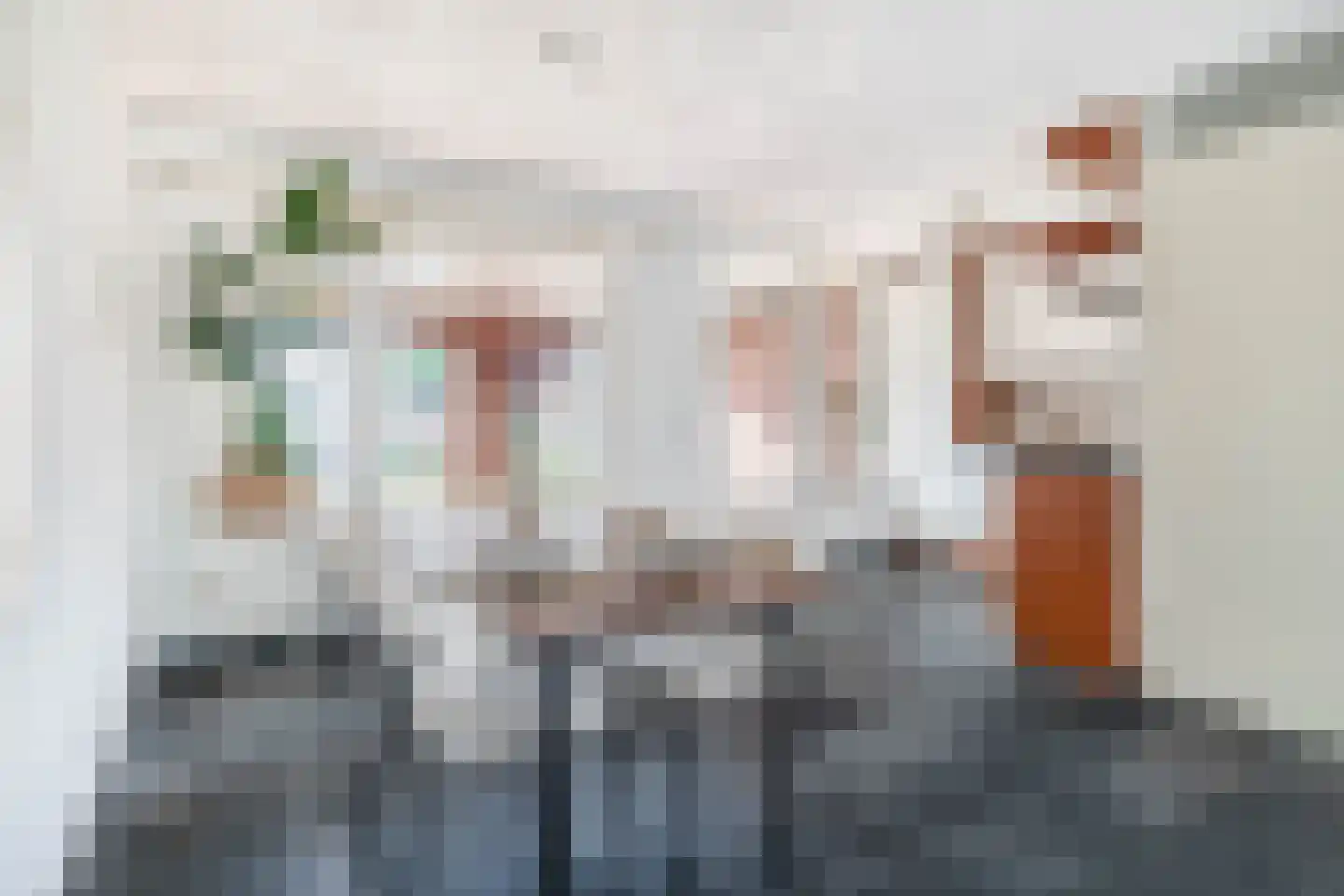 De Bariks 3 Heeswijk-Dinther thumbnail 9