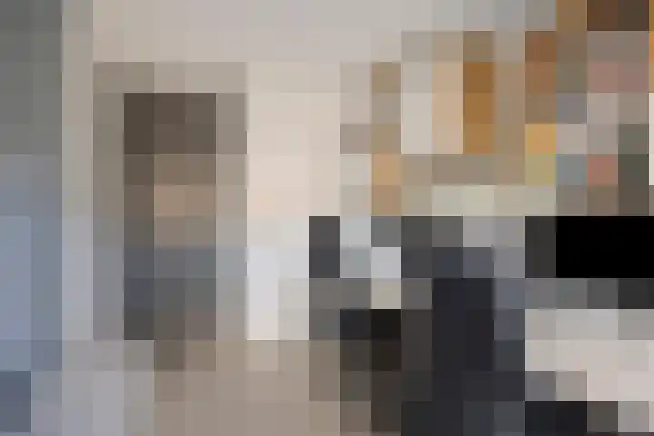De Barkentijn 13 Rosmalen thumbnail 27