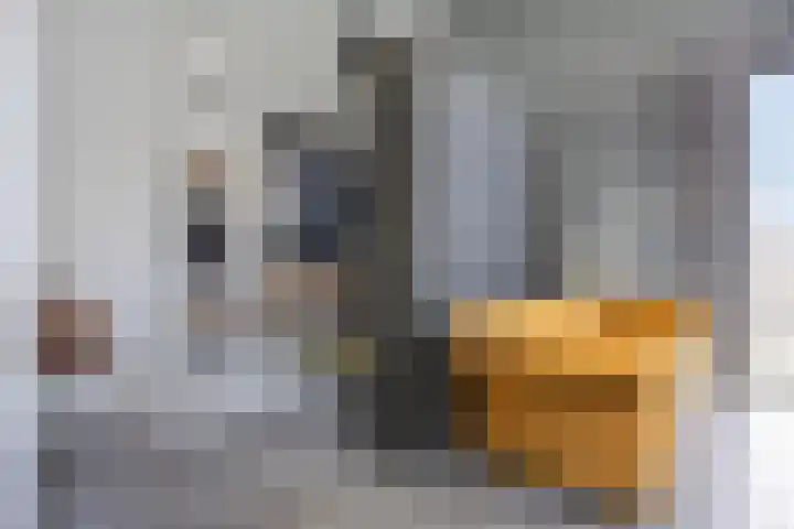 De Barkentijn 13 Rosmalen thumbnail 34
