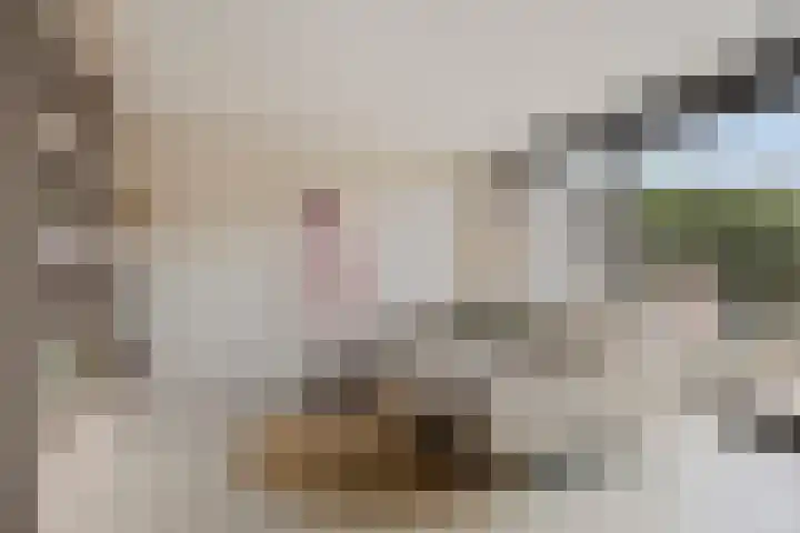 De Barkentijn 13 Rosmalen thumbnail 9