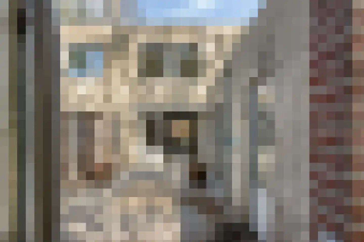 de Barnte 21 Twello thumbnail 13