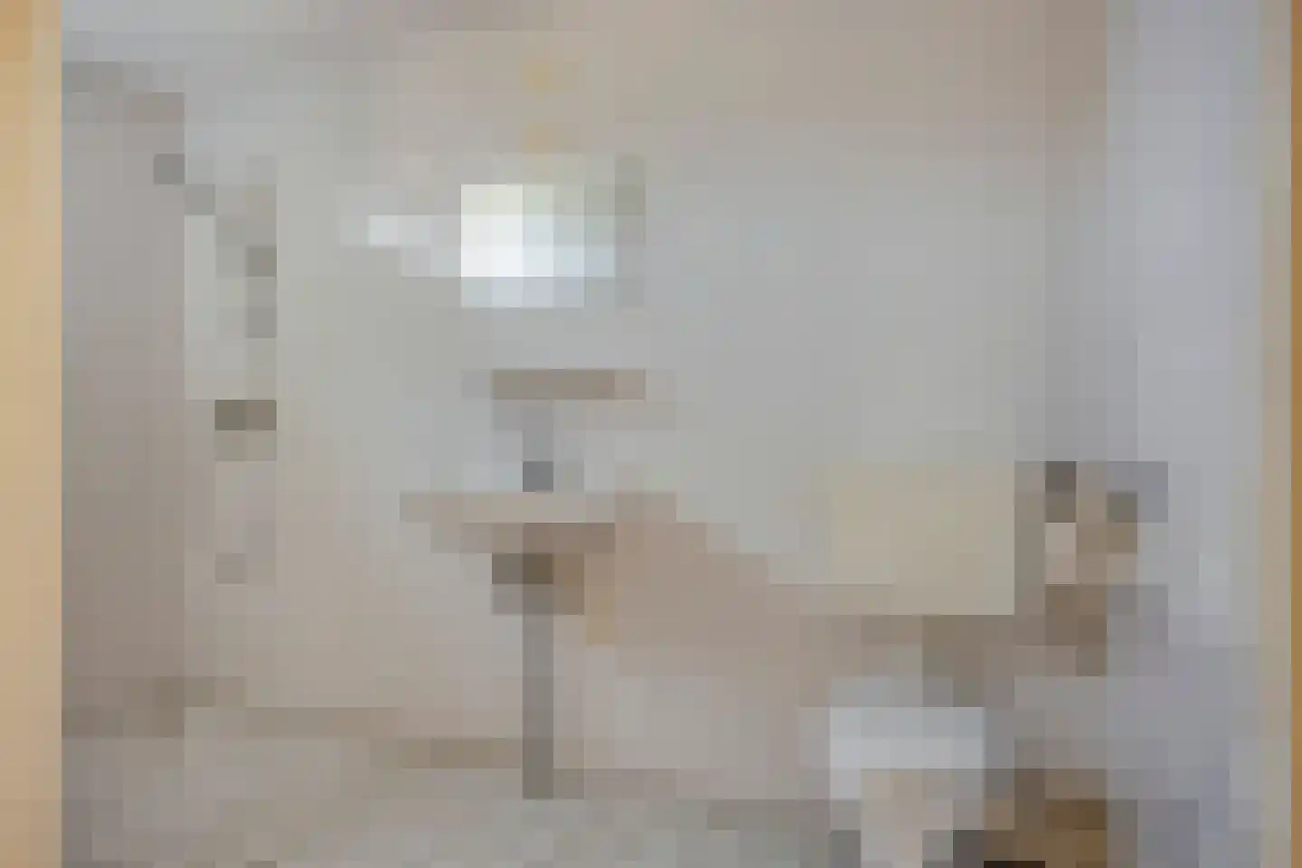 de Barnte 21 Twello thumbnail 22