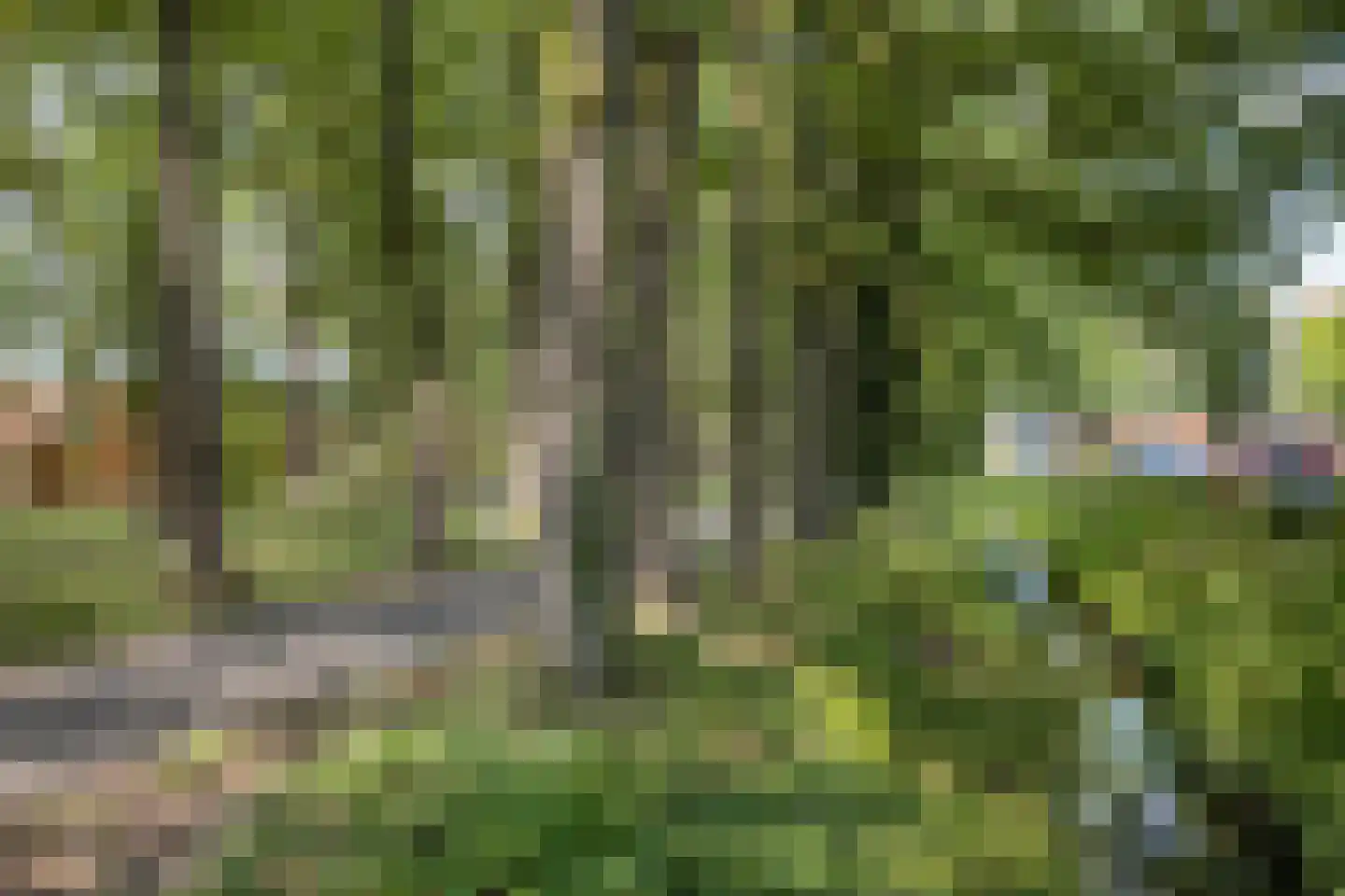 de Barnte 21 Twello thumbnail 24