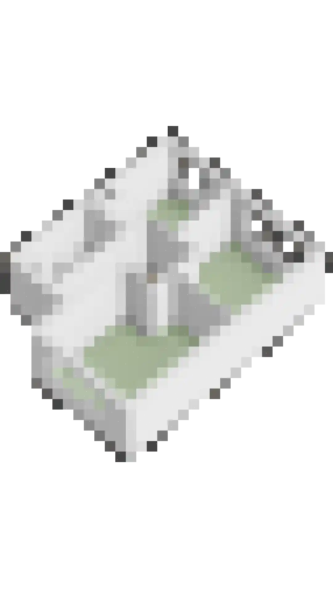 de Barnte 21 Twello thumbnail 32