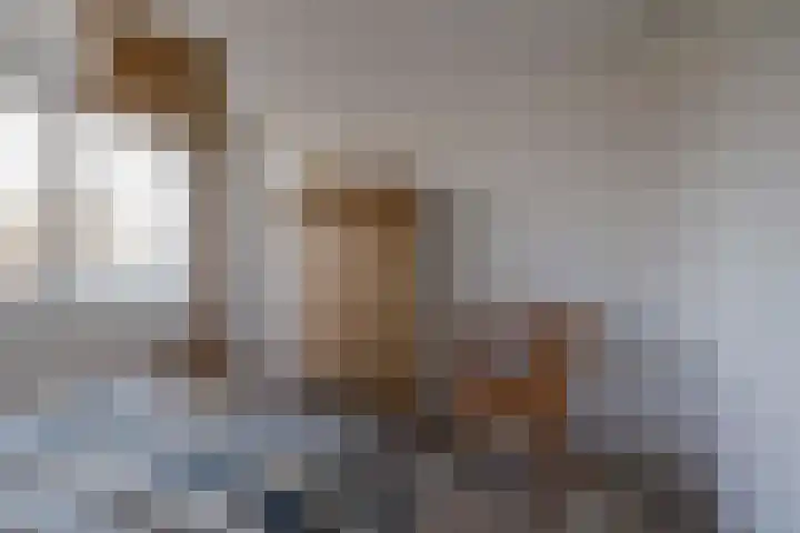 De Barrage 62 Buitenpost thumbnail 31