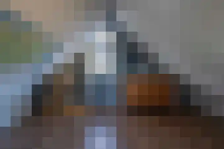 De Barrage 62 Buitenpost thumbnail 41