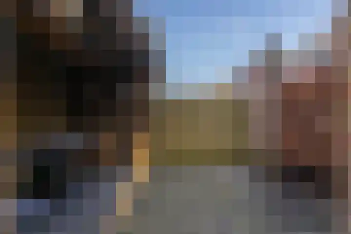 De Barrage 62 Buitenpost thumbnail 45