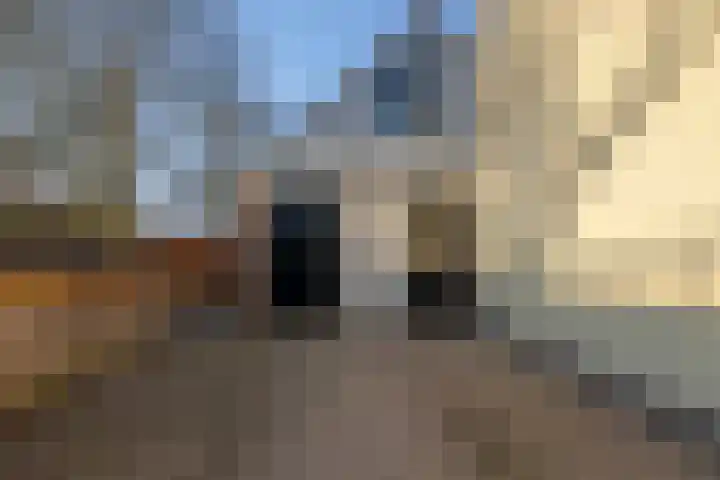 De Barrage 62 Buitenpost thumbnail 47