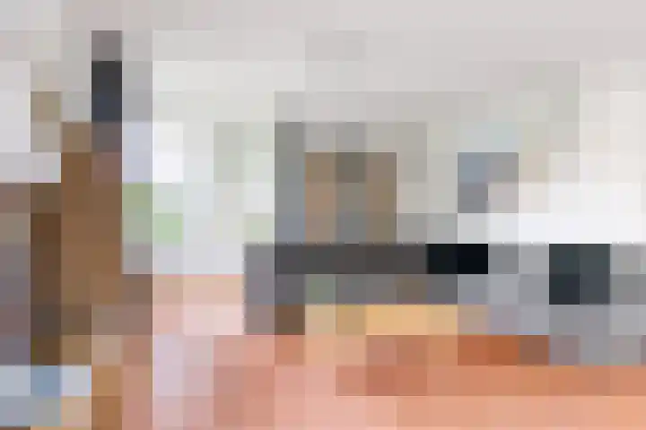 De Barte 7 Mantgum thumbnail 11