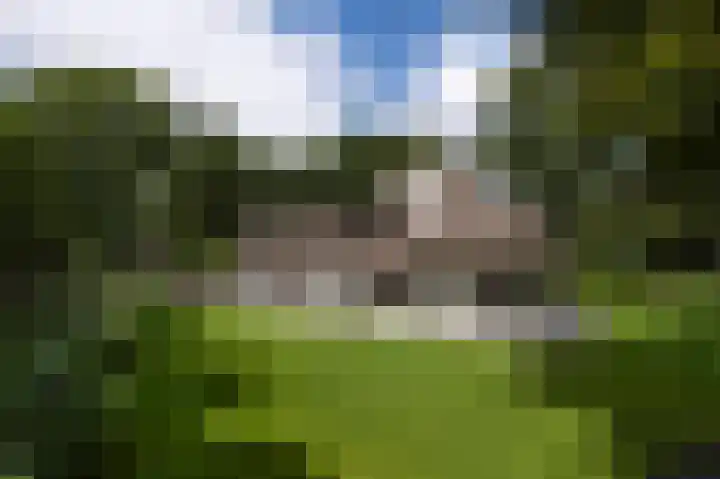 De Barte 7 Mantgum thumbnail 15