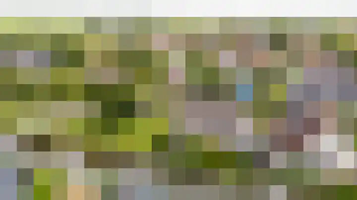 De Barte 7 Mantgum foto 2