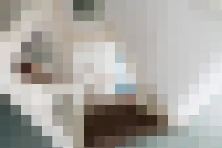 De Barte 7 Mantgum thumbnail 20