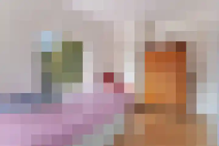 De Barte 7 Mantgum thumbnail 24