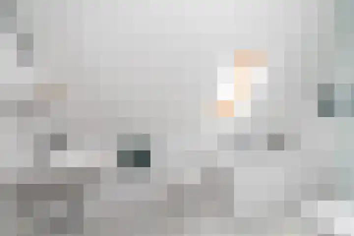 De Barte 7 Mantgum thumbnail 27
