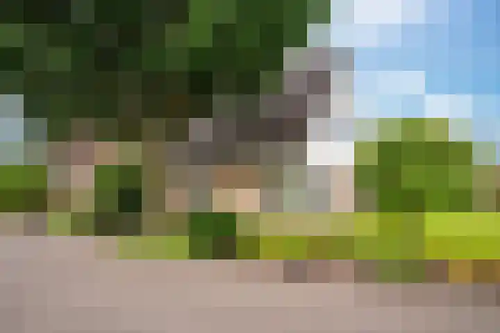 De Barte 7 Mantgum foto 3