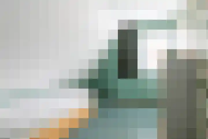 De Barte 7 Mantgum thumbnail 30