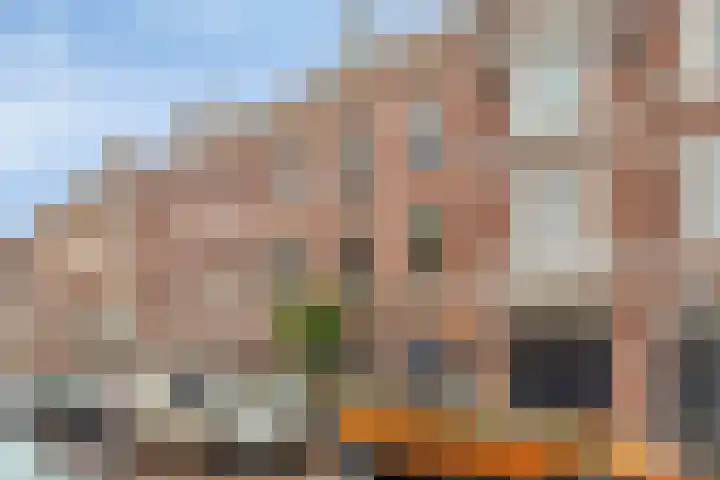 De Barte 7 Mantgum thumbnail 31