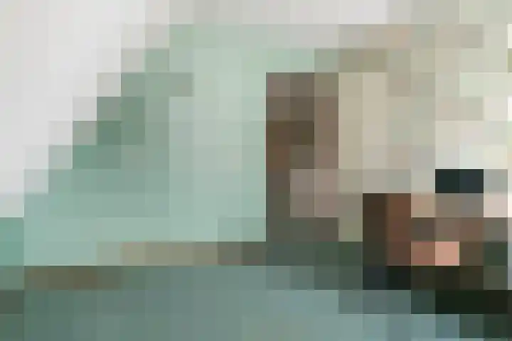 De Barte 7 Mantgum thumbnail 33