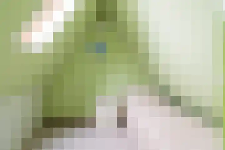 De Barte 7 Mantgum thumbnail 34