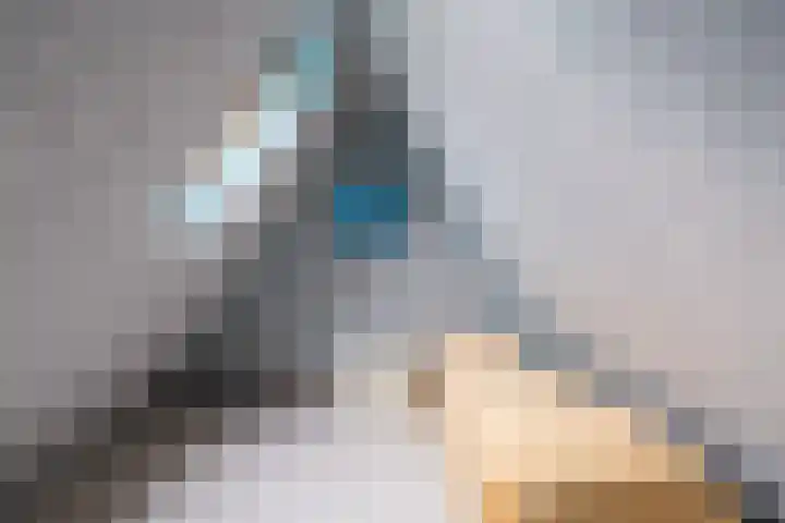 De Barte 7 Mantgum thumbnail 37