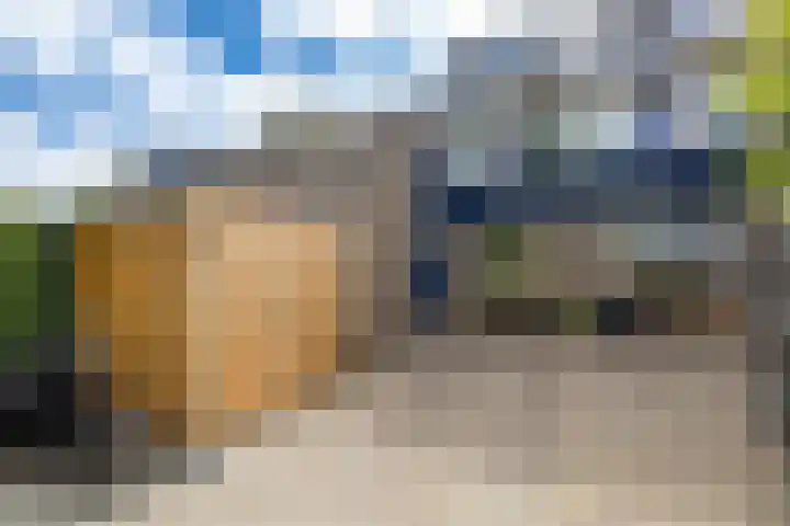 De Barte 7 Mantgum thumbnail 39