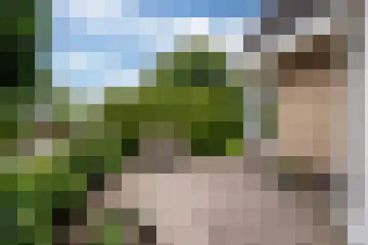 De Barte 7 Mantgum thumbnail 42