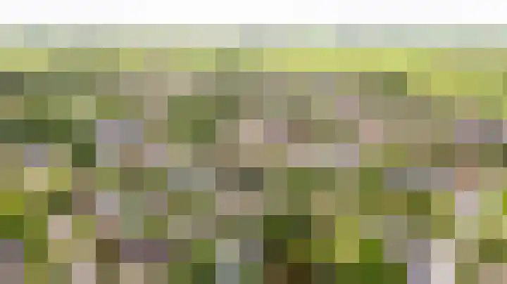 De Barte 7 Mantgum thumbnail 48