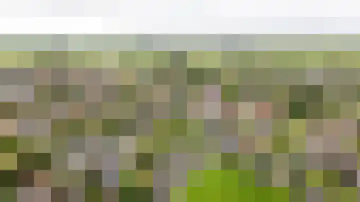 De Barte 7 Mantgum thumbnail 49