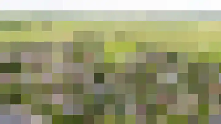 De Barte 7 Mantgum thumbnail 5