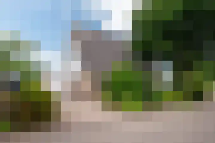 De Barte 7 Mantgum thumbnail 6