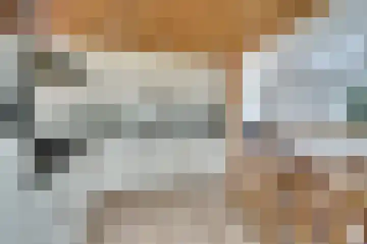 de Bas 9 Ewijk thumbnail 12