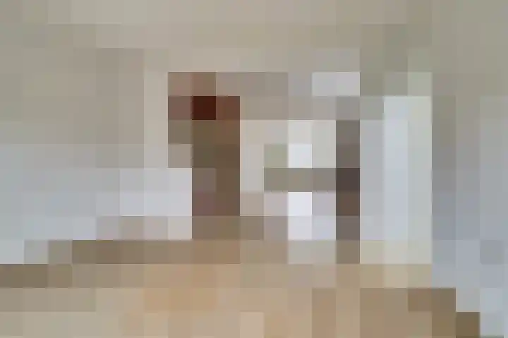 de Bas 9 Ewijk thumbnail 14