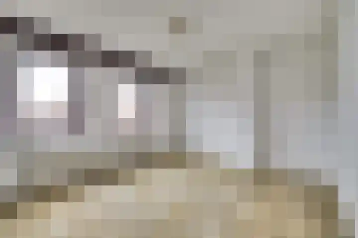 de Bas 9 Ewijk thumbnail 19