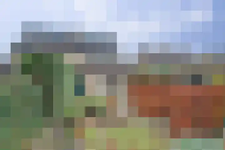 de Bas 9 Ewijk thumbnail 31