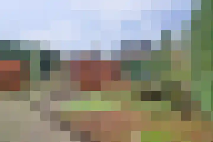 de Bas 9 Ewijk thumbnail 32
