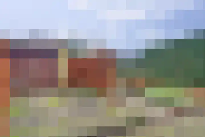 de Bas 9 Ewijk thumbnail 33