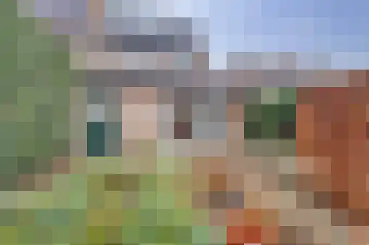 de Bas 9 Ewijk thumbnail 36