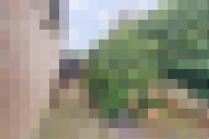 de Bas 9 Ewijk thumbnail 37