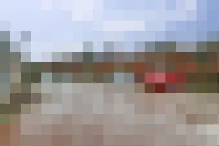 de Bas 9 Ewijk thumbnail 39