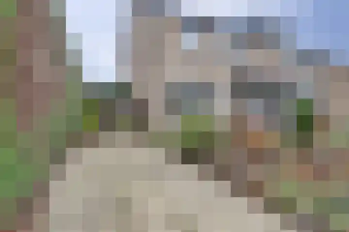 de Bas 9 Ewijk thumbnail 4
